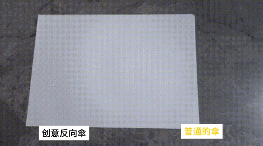 1738925263467749.gif